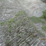 8-150x150-1549018